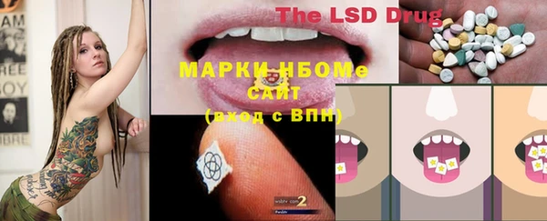 стаф Белоозёрский