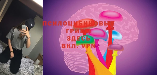 стаф Белоозёрский
