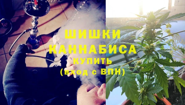 стаф Белокуриха