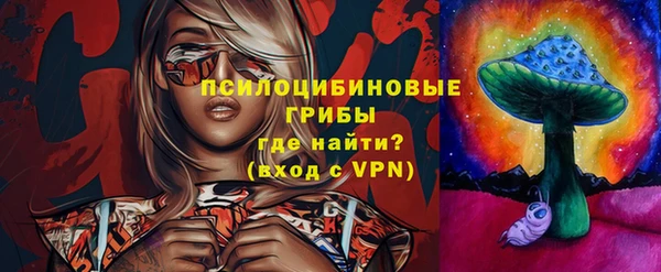 стаф Белокуриха