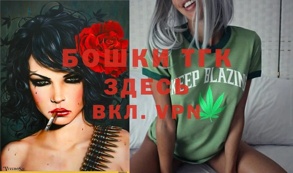 стаф Белоозёрский